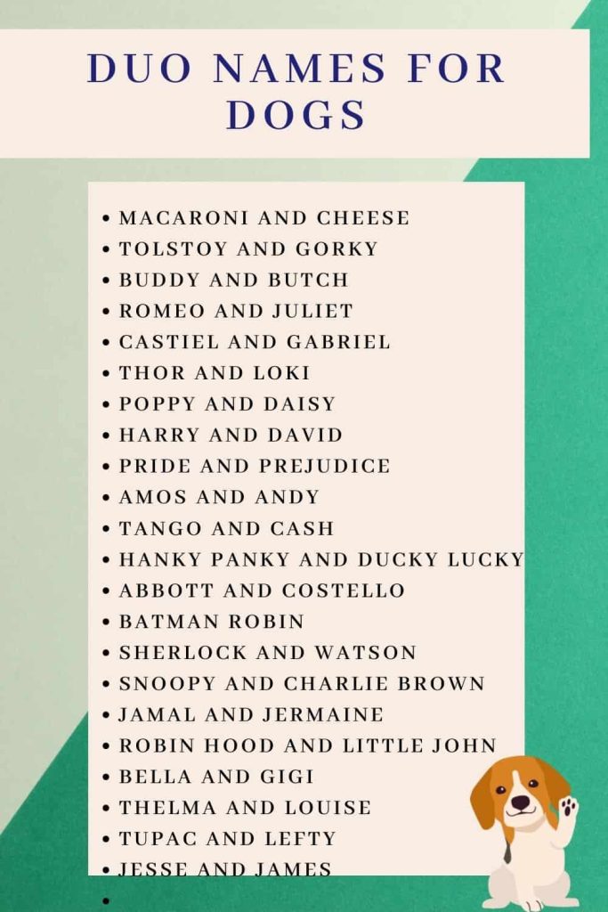 100+ Duo Names Ideas: Unique, Cool & Funny